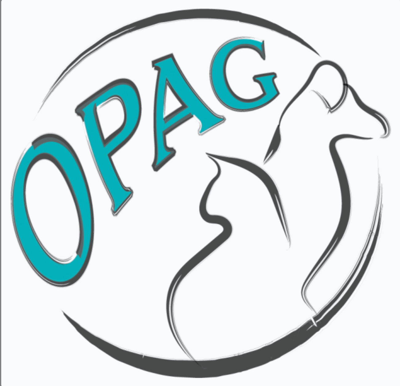 OPAG 971