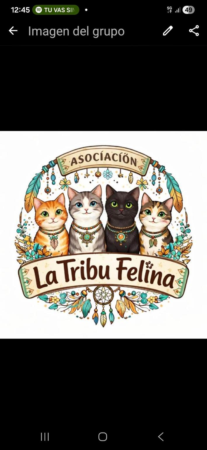 Asociación La Tribu Felina