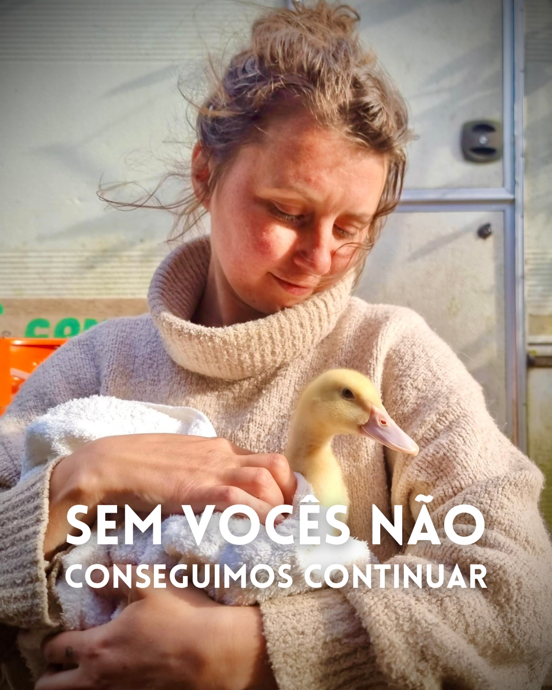 Animal Save & Care Portugal