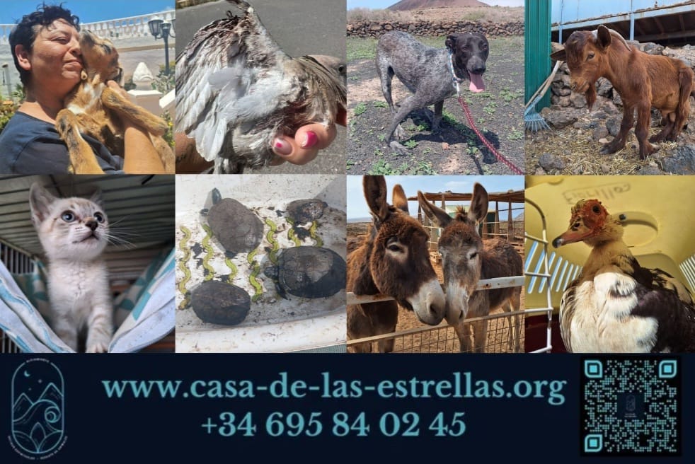 La Casa de las Estrellas