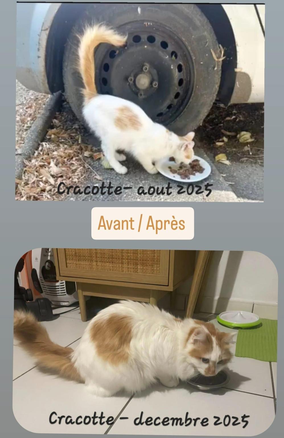 association Nos Chouchous