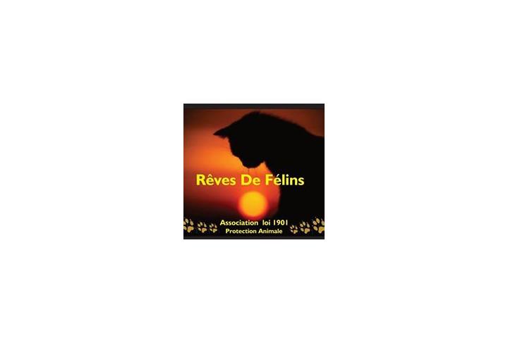 Rêves De Félins