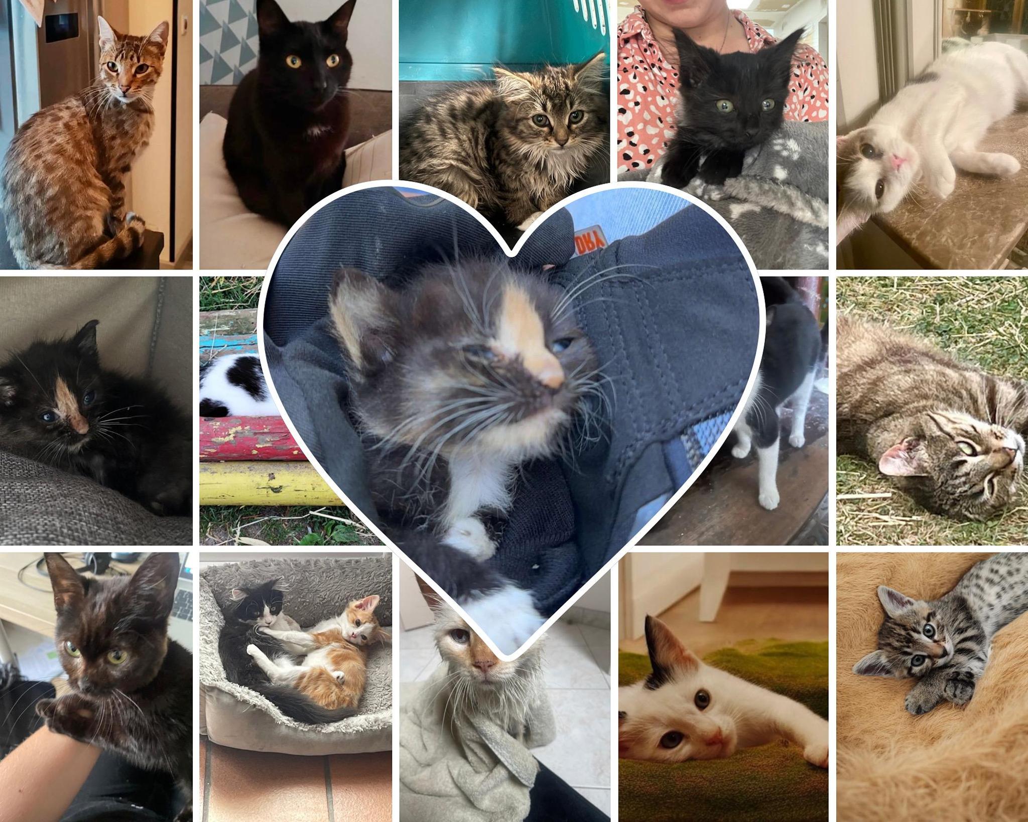 Association Coeur de Chalinoux