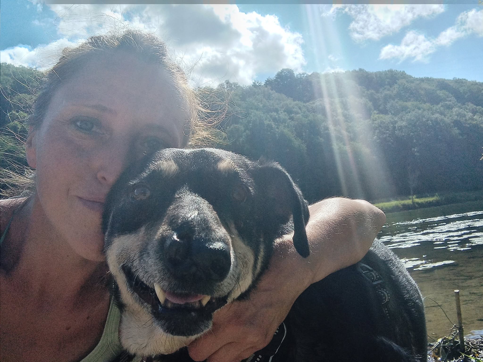 VIVANTS-Sauvetage d'animaux