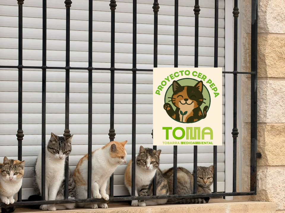 CER PEPA – Tobarra (Albacete)