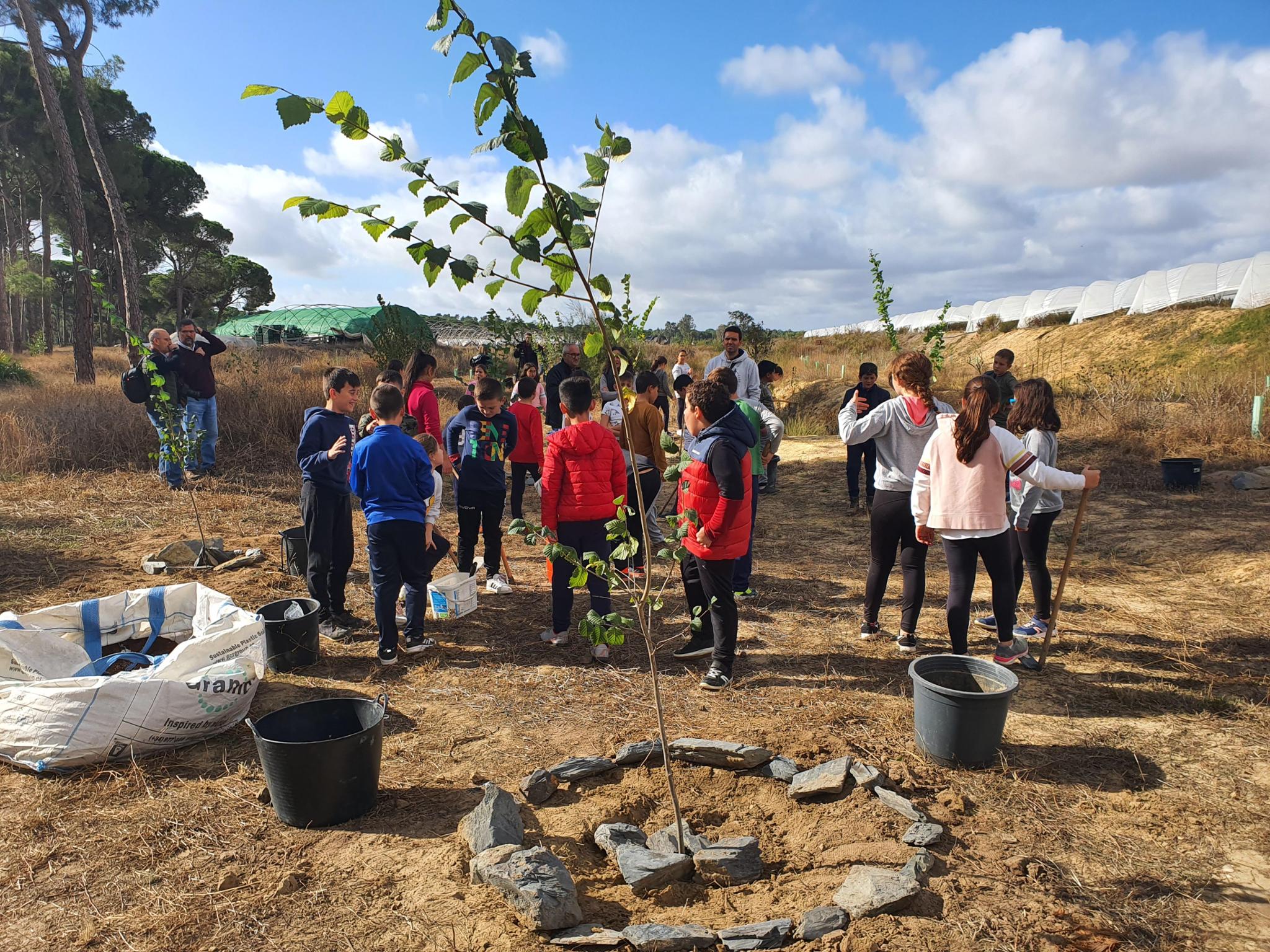 REFORESTACIÓN HUELVA