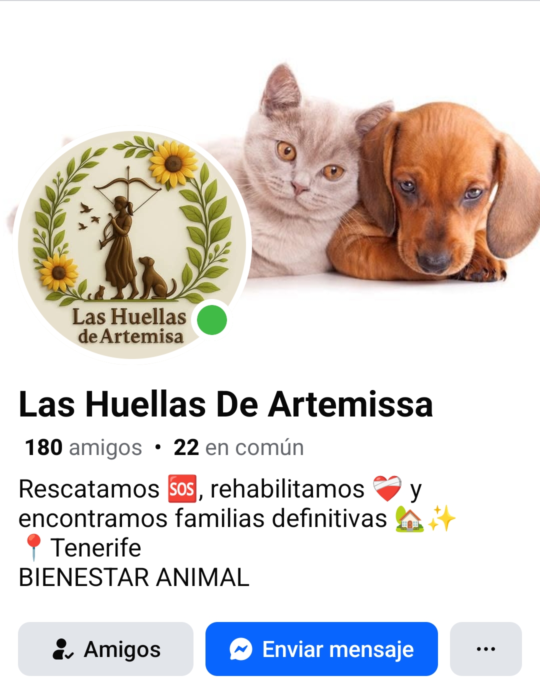 Las Huellas de Artemisa