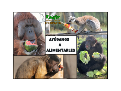 RAINFER: Alimenta a los Primates