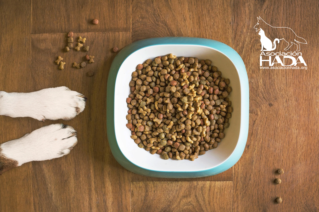 Asociación HADA - alimentación rescatados