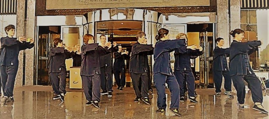 QIGONG TERRE NOUS