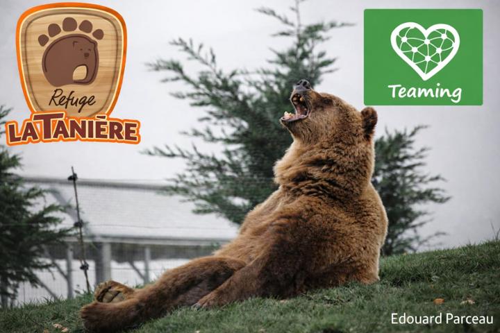 Fonds de dotation - La Tanière