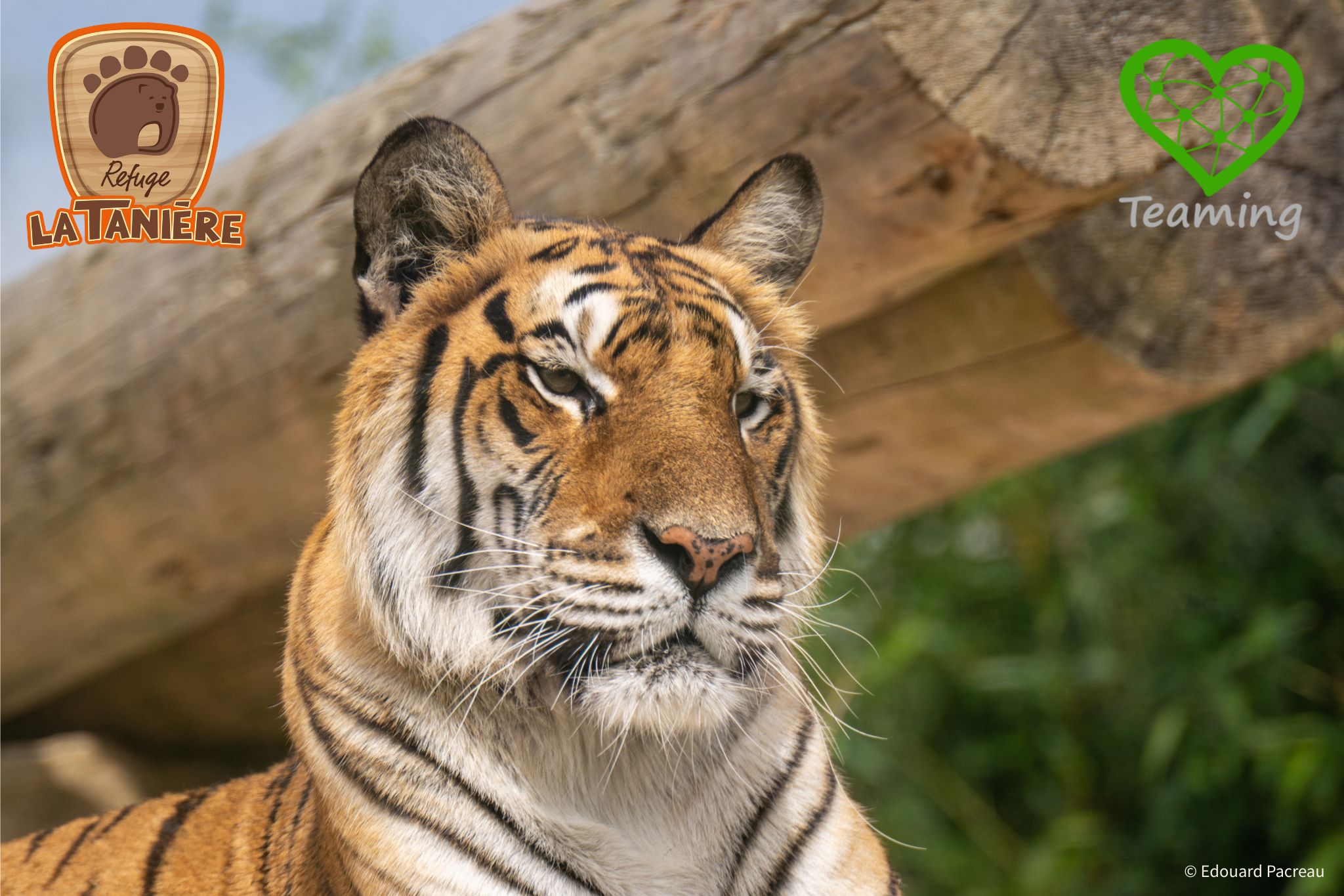 Fonds de dotation - La Tanière