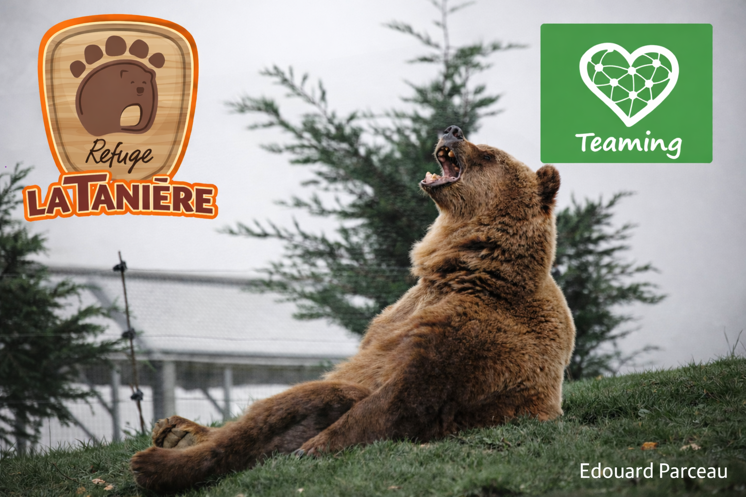 Fonds de dotation - La Tanière