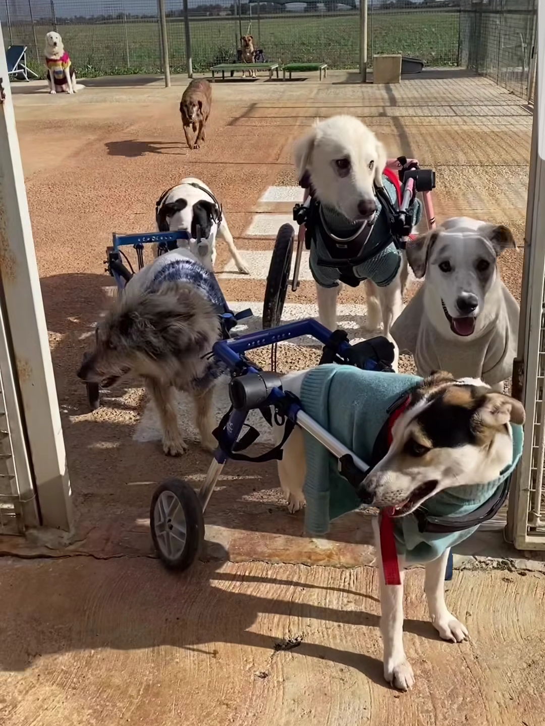 Rifugio Tom - A.S.A. ODV Pisa