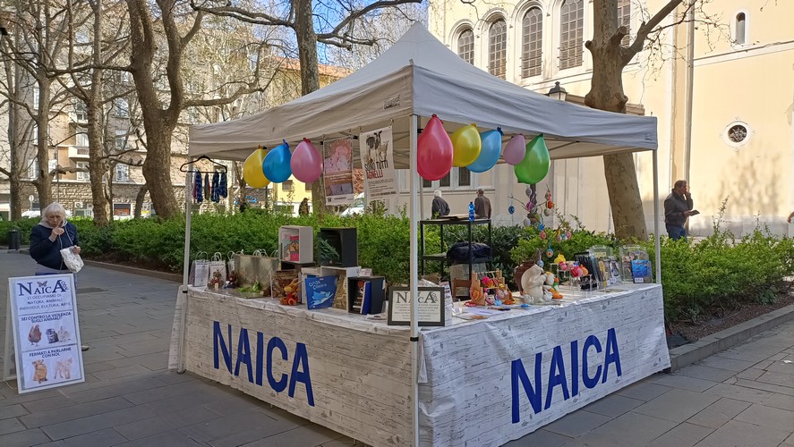 NAICA ODV