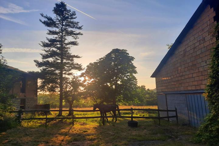 Kings' Legacy 1 euro help group