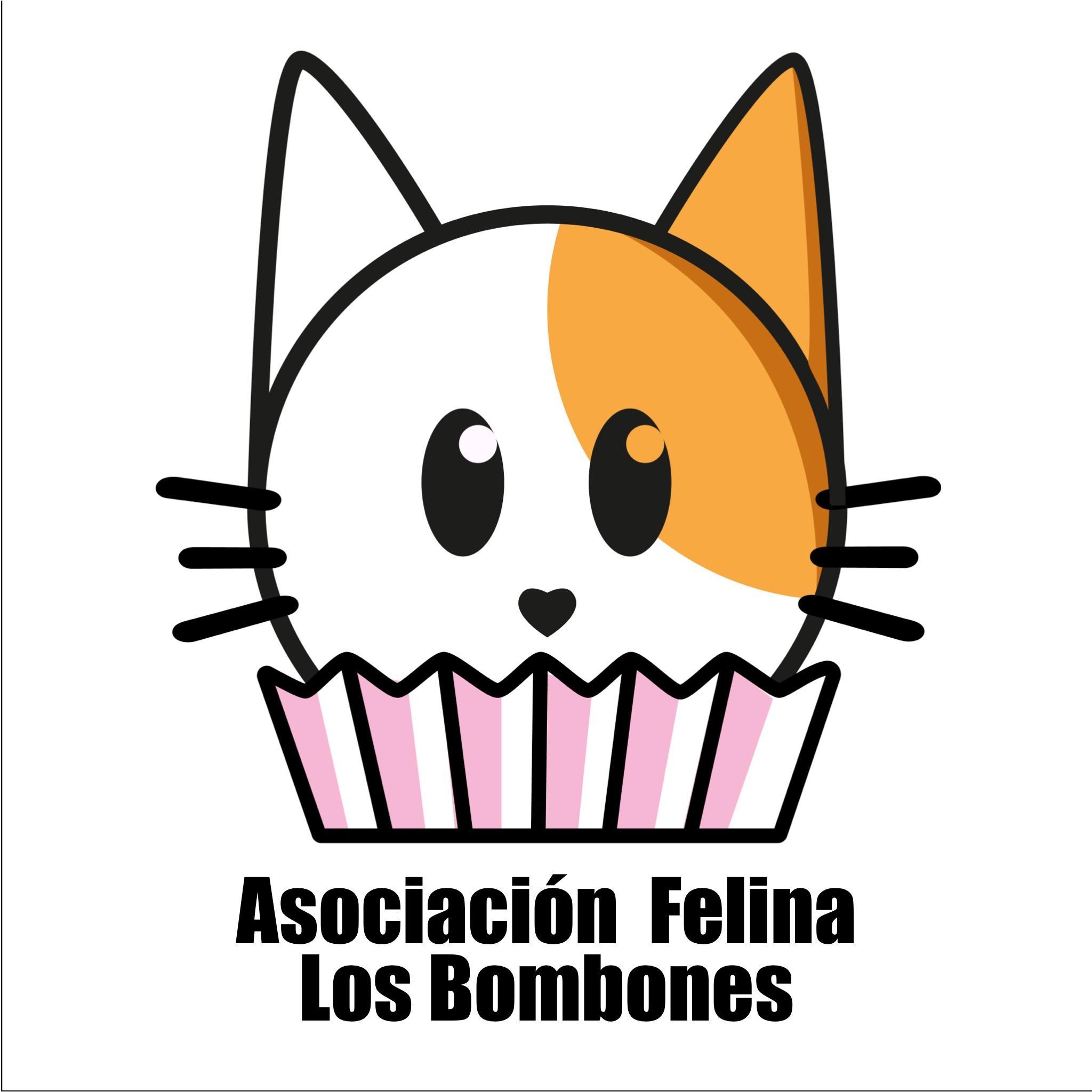 Asociación Felina Los Bombones