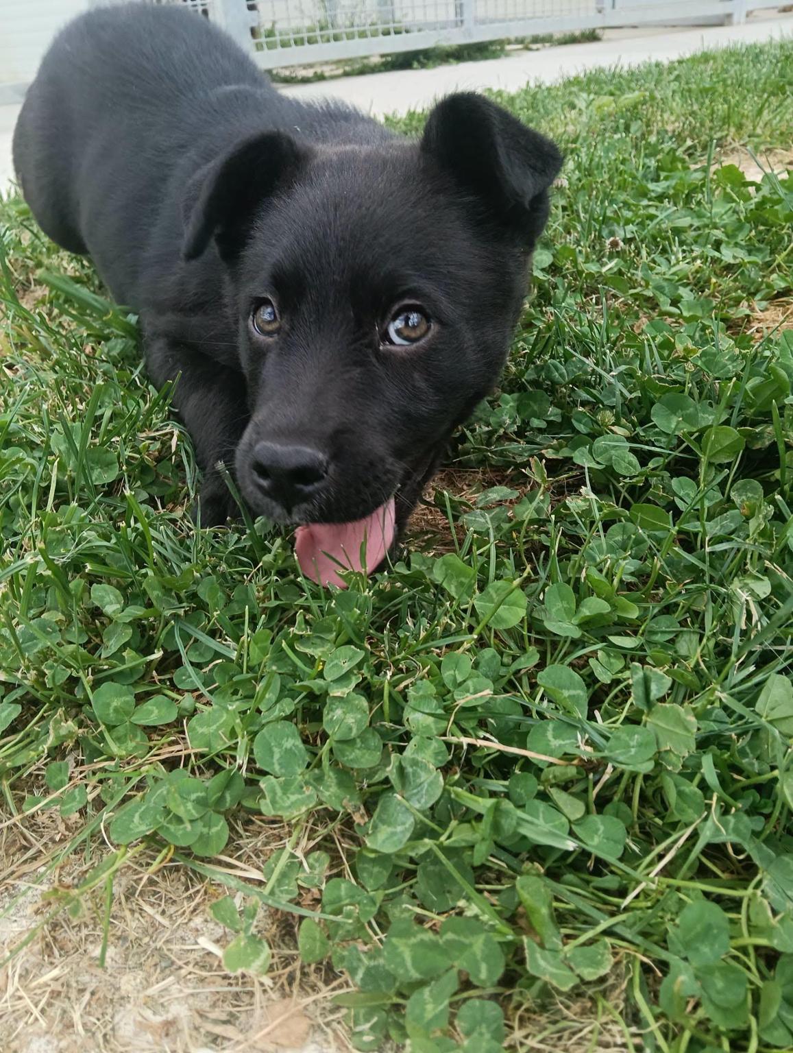 Con Fido nel Cuore - AV