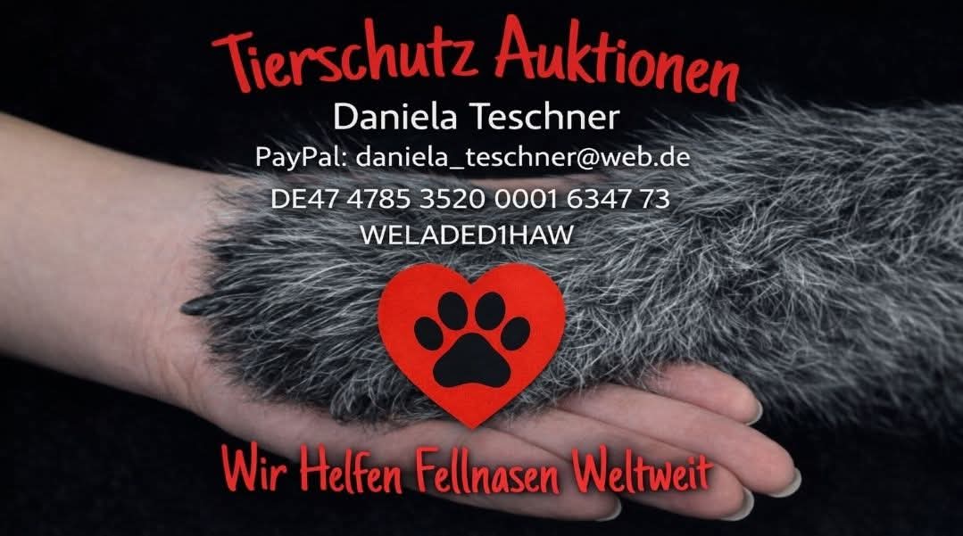 Tierschutz Auktionen