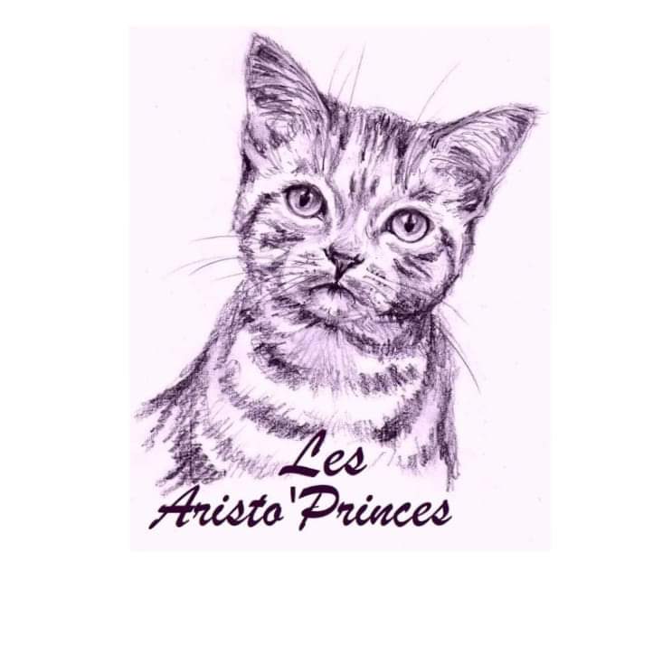 Les Aristo'princes