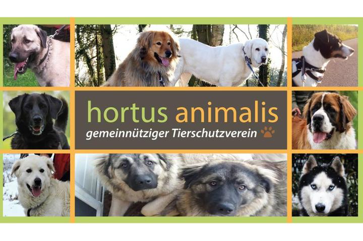 TSV Hortus Animalis e.V.