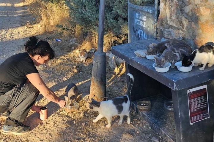 El Gato en la Luna Loranca de Tajuña