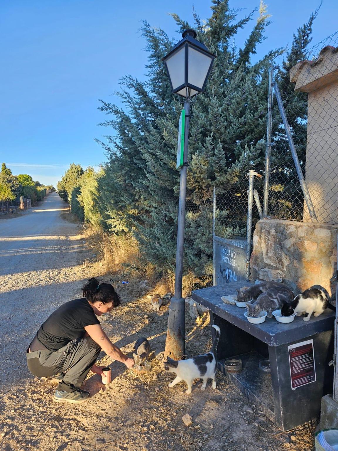 El Gato en la Luna Loranca de Tajuña