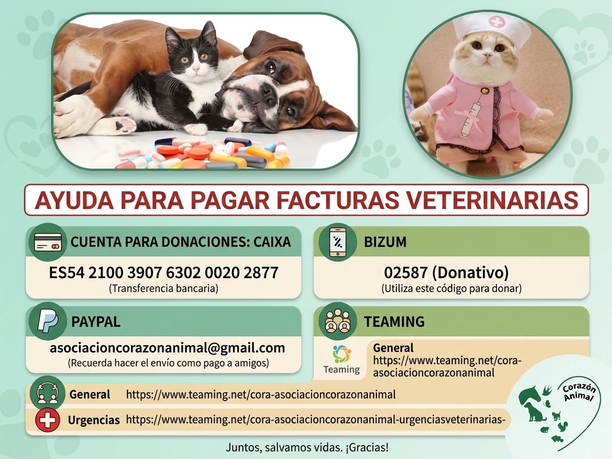 CORA- ASOCIACIÓN CORAZÓN ANIMAL (URGENCIAS VETERINARIAS)