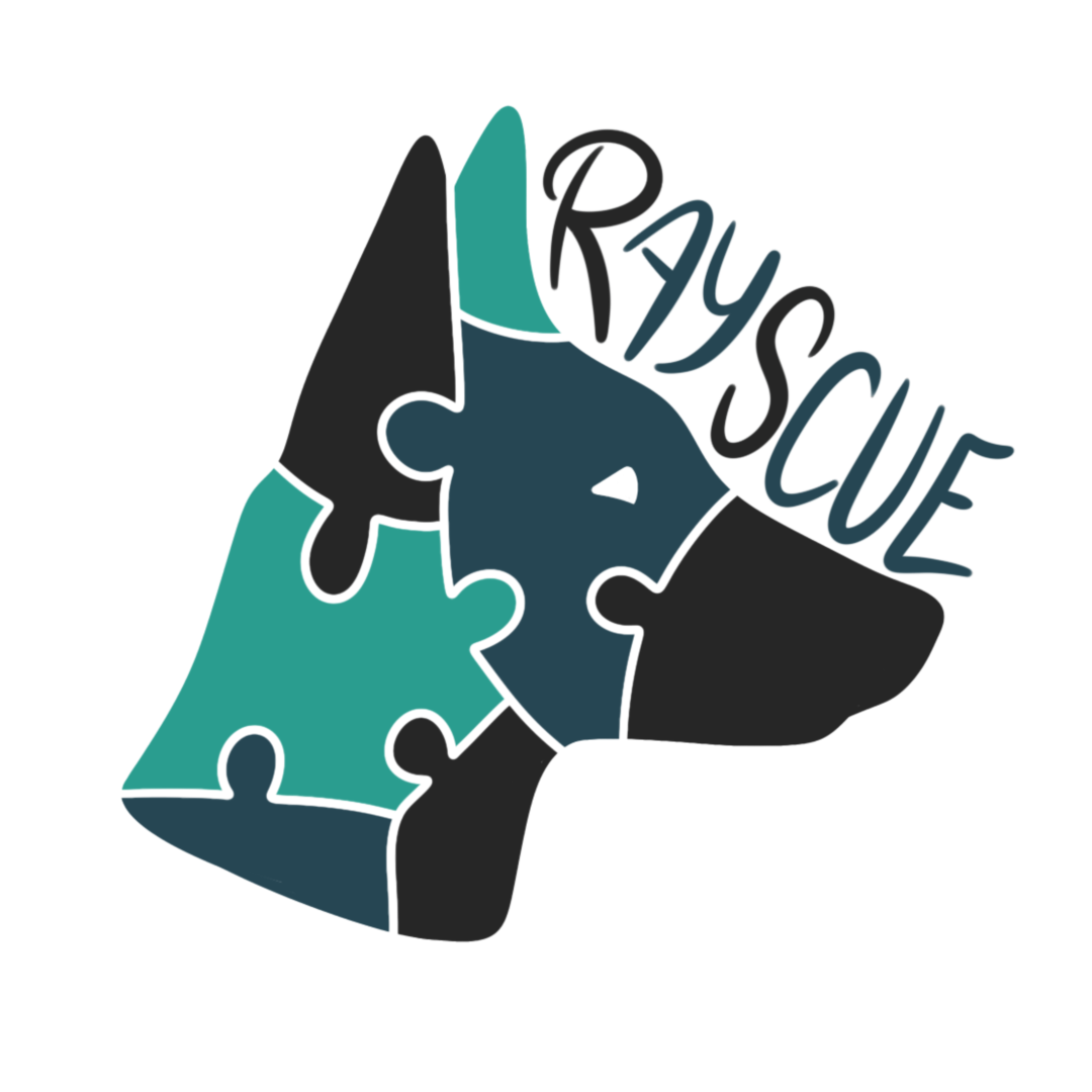 Rayscue