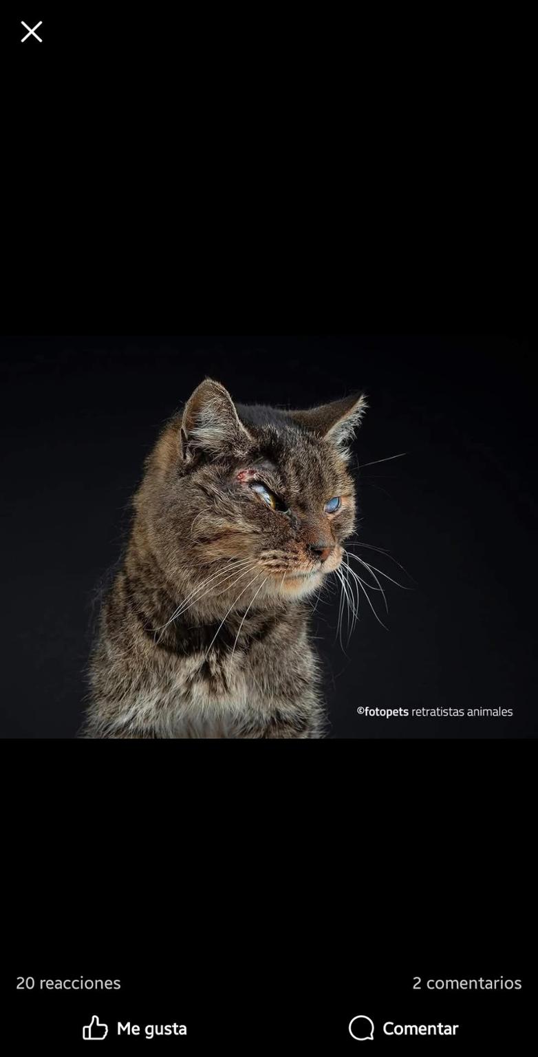 Donaciones casos externos