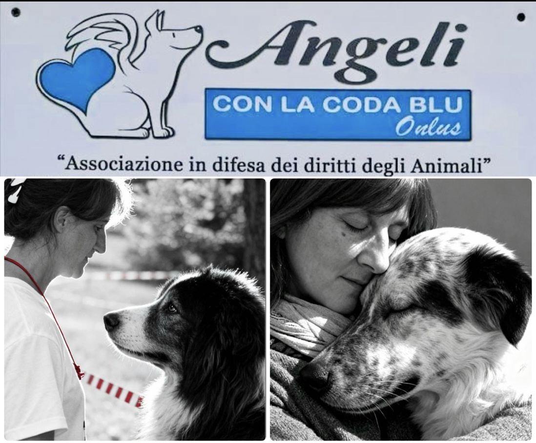 Angeli Con La Coda Blu Onlus