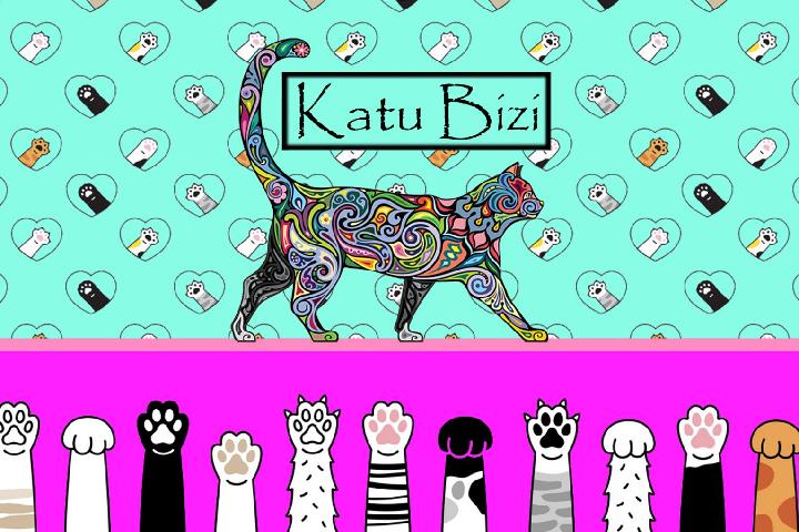 Katu Bizi