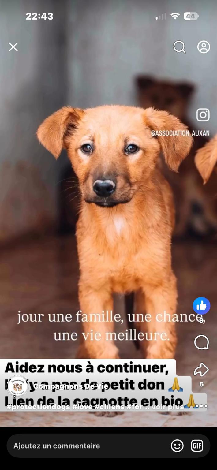 1€ pour remplir les gamelles