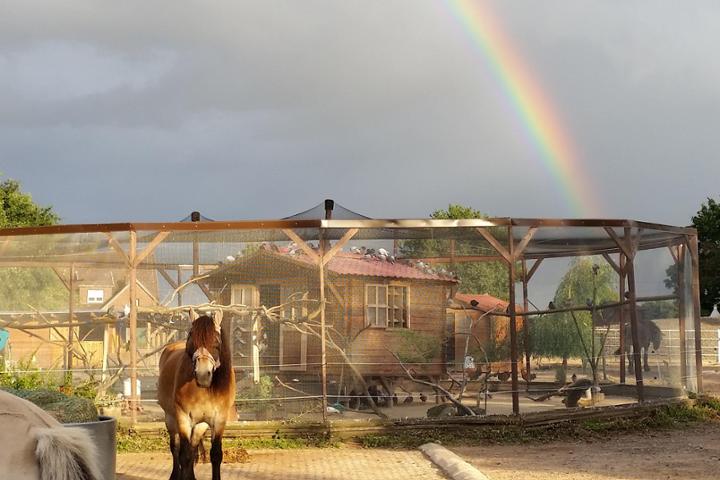 Picture for Gnadenhof Allys kleine Farm e.V.