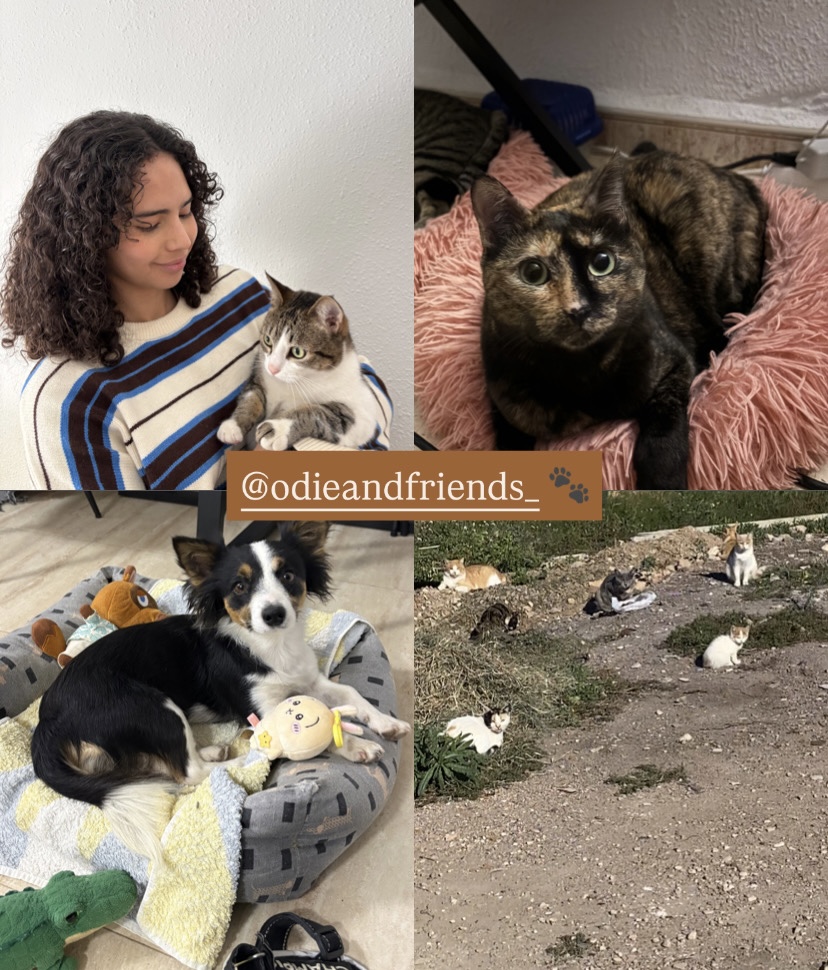 Odie & Friends