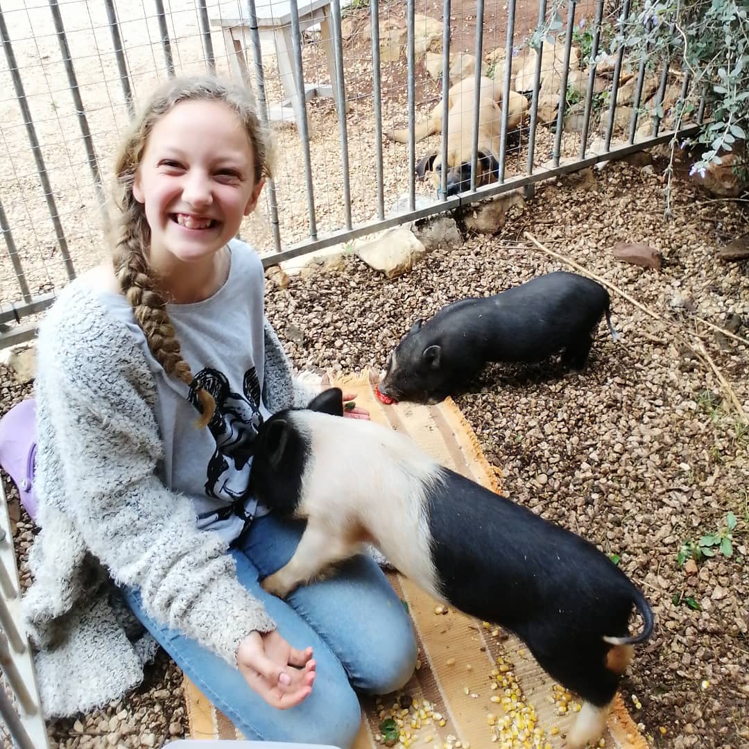 Fazenda das Papoilas
Cuddle farm sanctuary 
Algarve