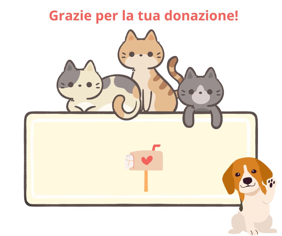 Volounteers and friends for cats