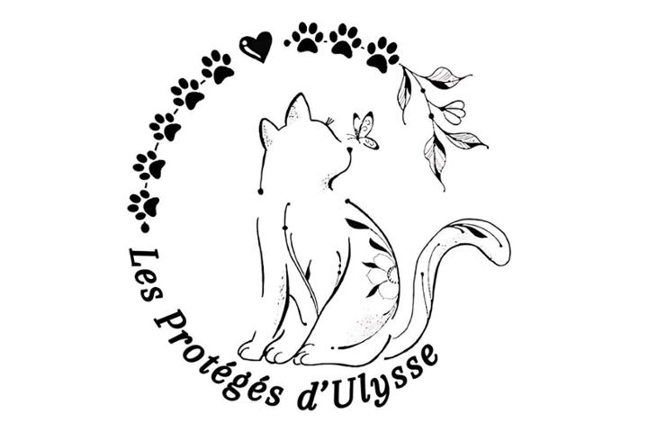 Les Protégés D'Ulysse
