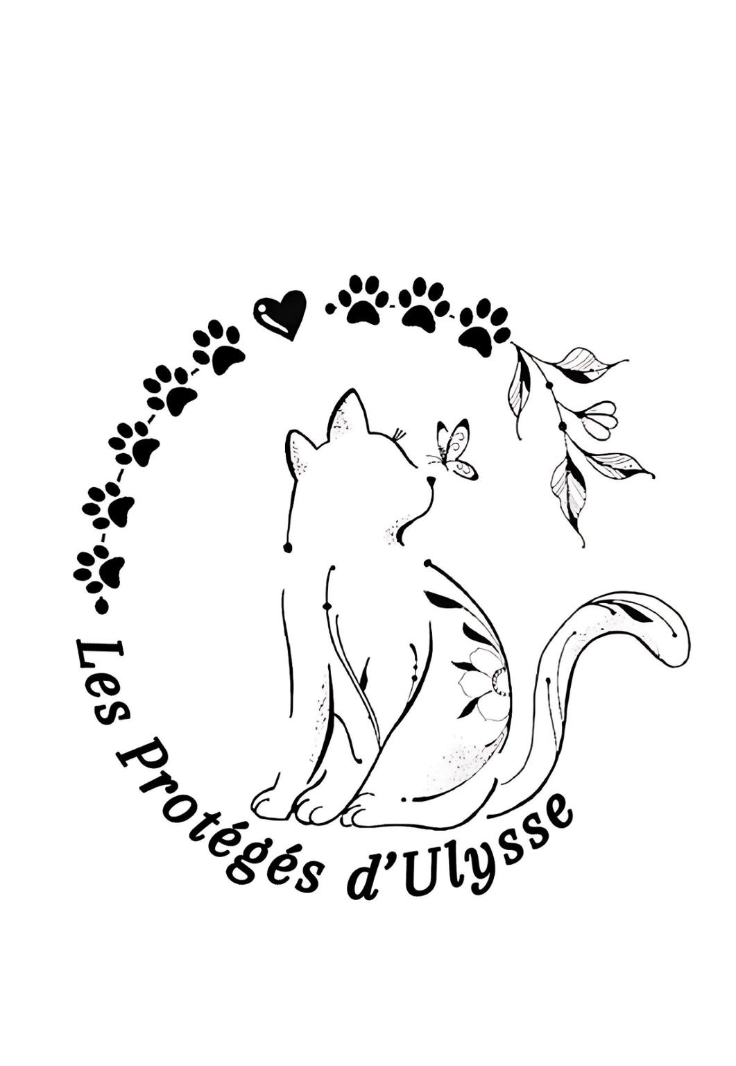 Les Protégés D'Ulysse