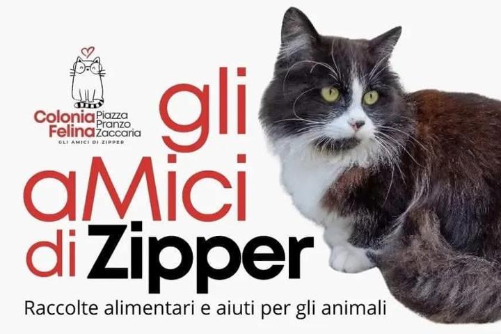 Gli aMici di Zipper