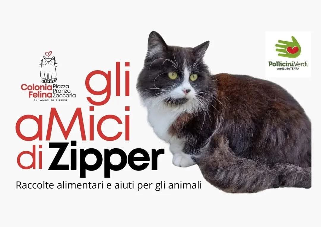 Gli aMici di Zipper
