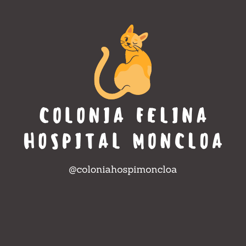 Colonia felina Hospital Moncloa