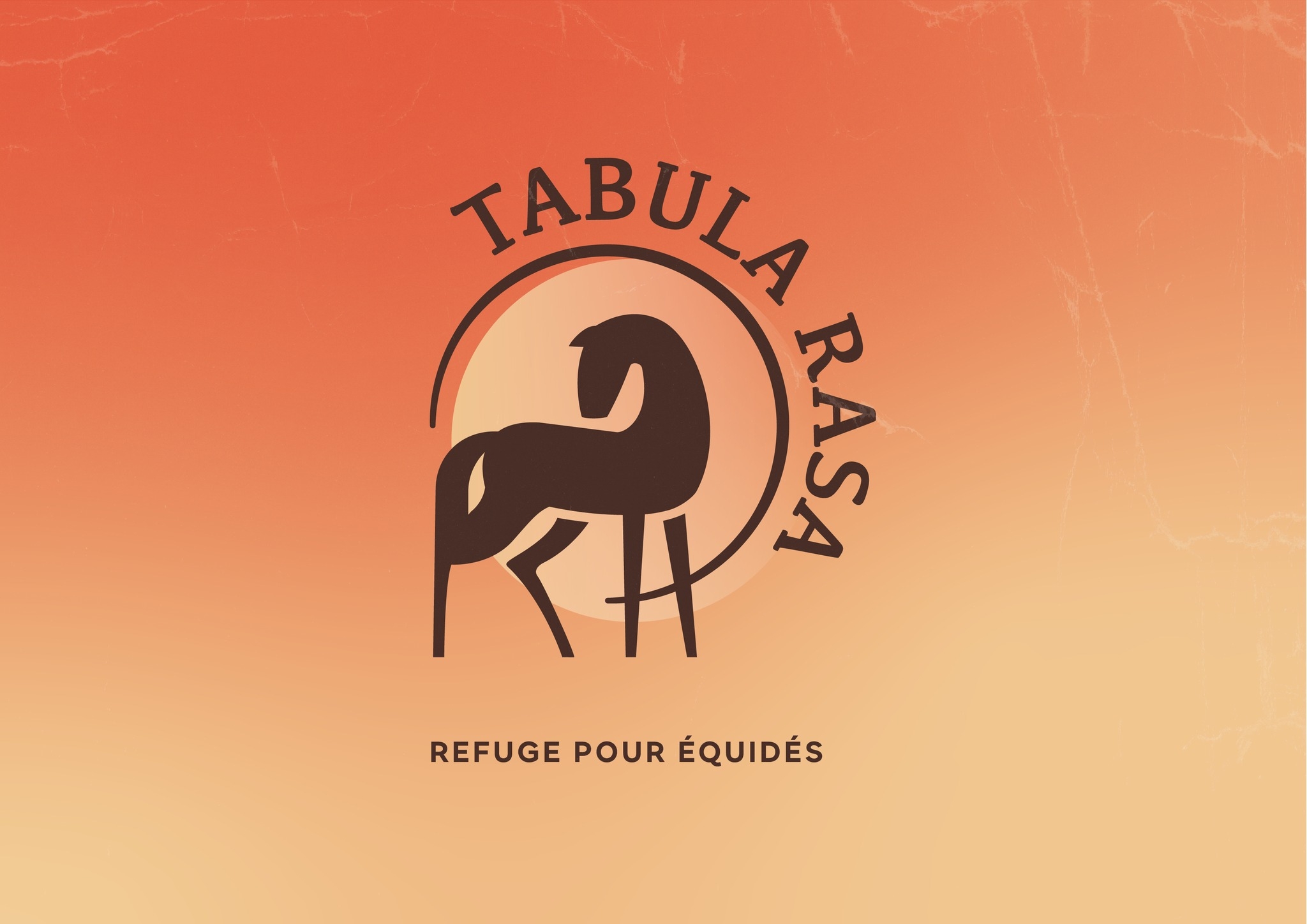 Tabula Rasa asbl - Refuge pour équidés