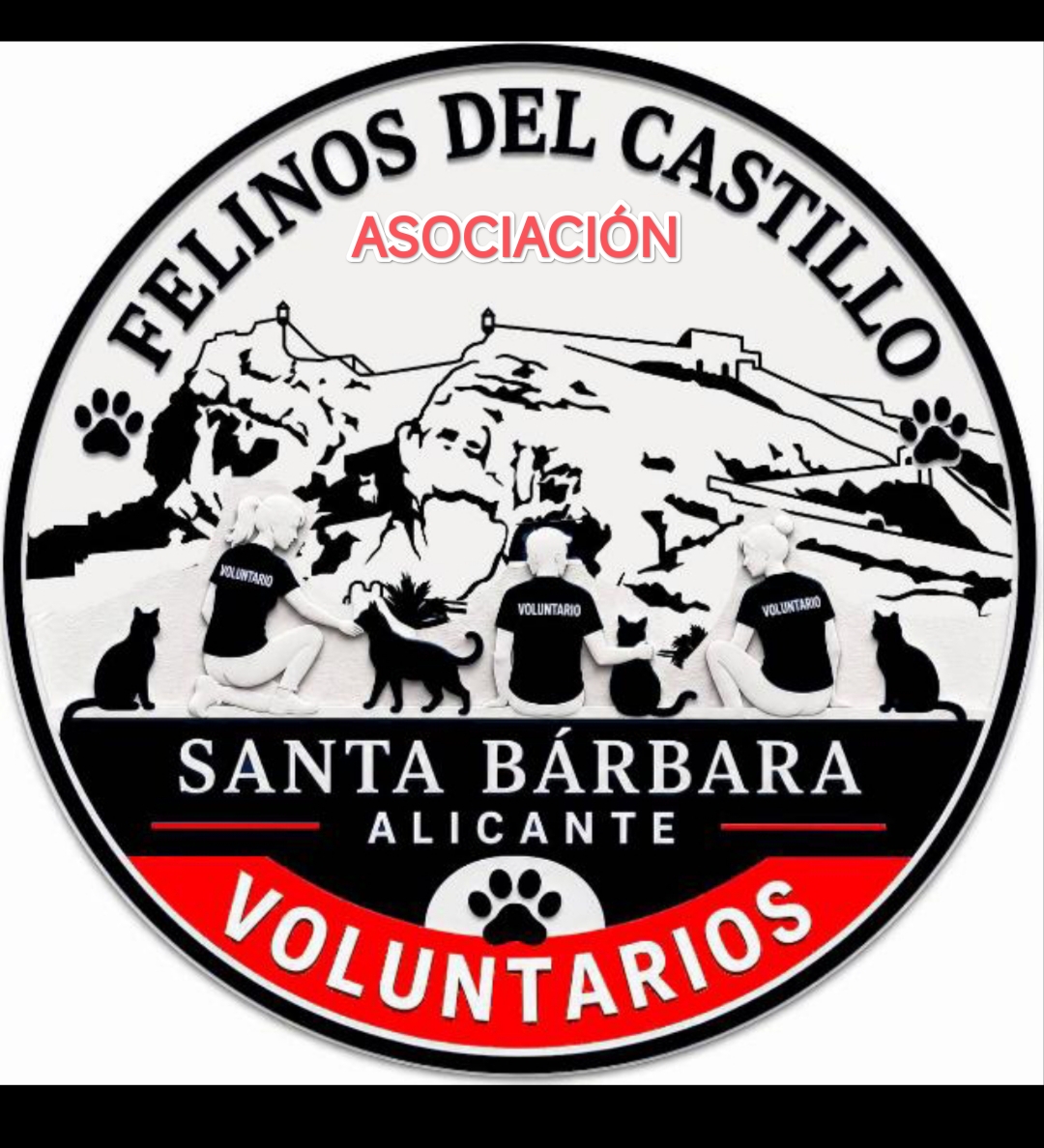 FELINE VOLUNTEERS OF STA. BARBARA CASTLE ALICANTE