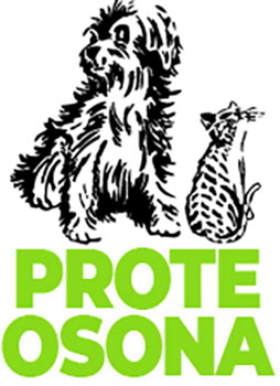 Protectora d'Animals d'Osona