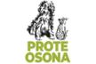 Protectora d'Animals d'Osona