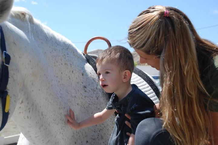 LOVE HORSE: Terapia Asistida con Caballos 