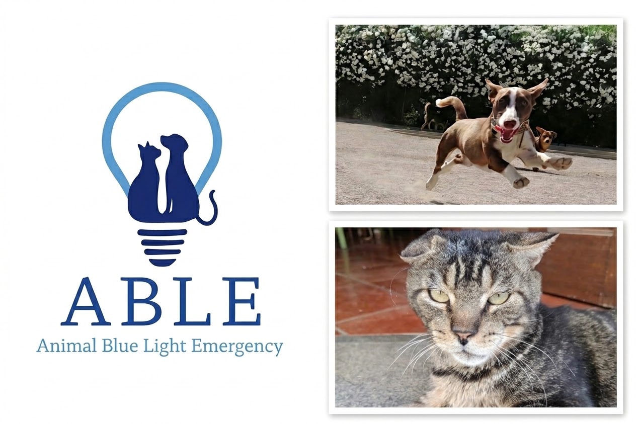ABLE - Animal Blue Light Emergency - Vet Care Algarve