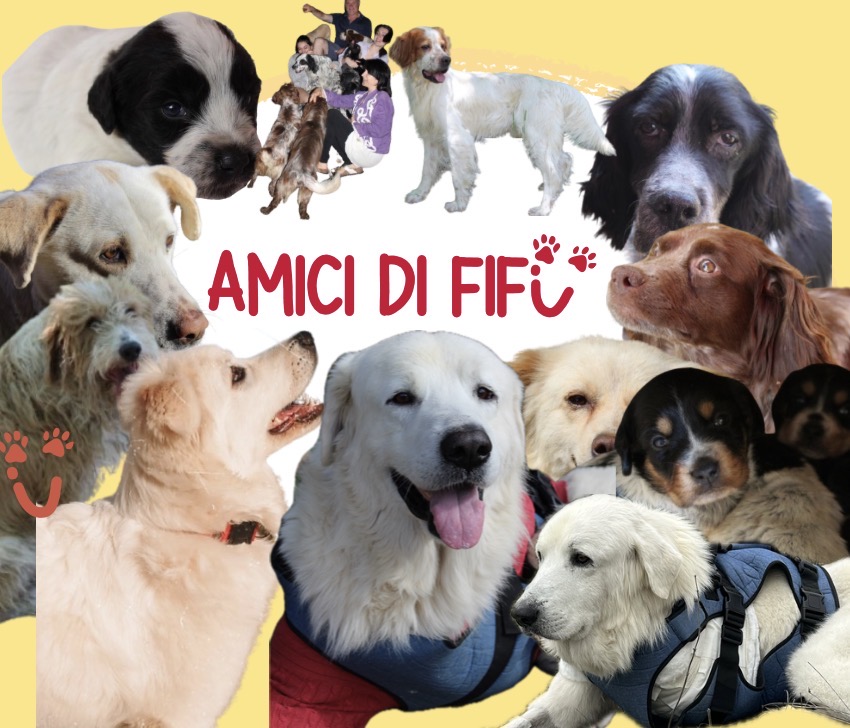 Amici di Fifí: insieme possiamo salvare tante vite