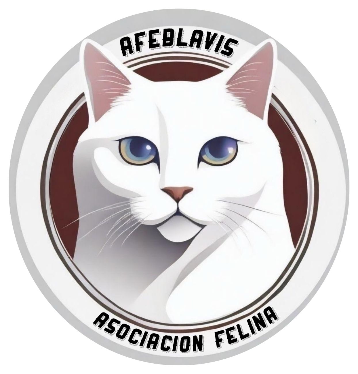 Afeblavis.- Asociación Felina Los Blanquitos de Villares del Saz